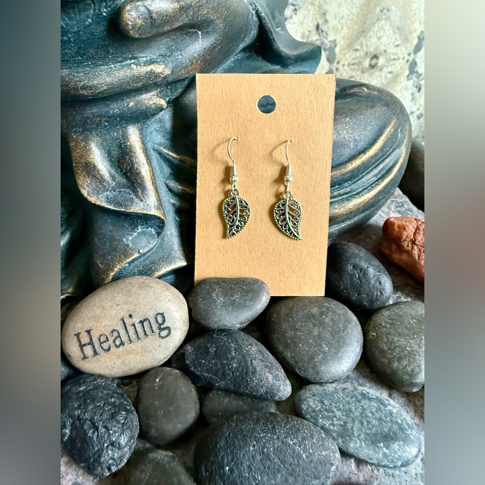 Stainless steel hook feather earrings. Rubber backs. New in packaging.